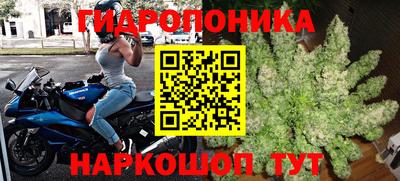 a pvp Лесосибирск
