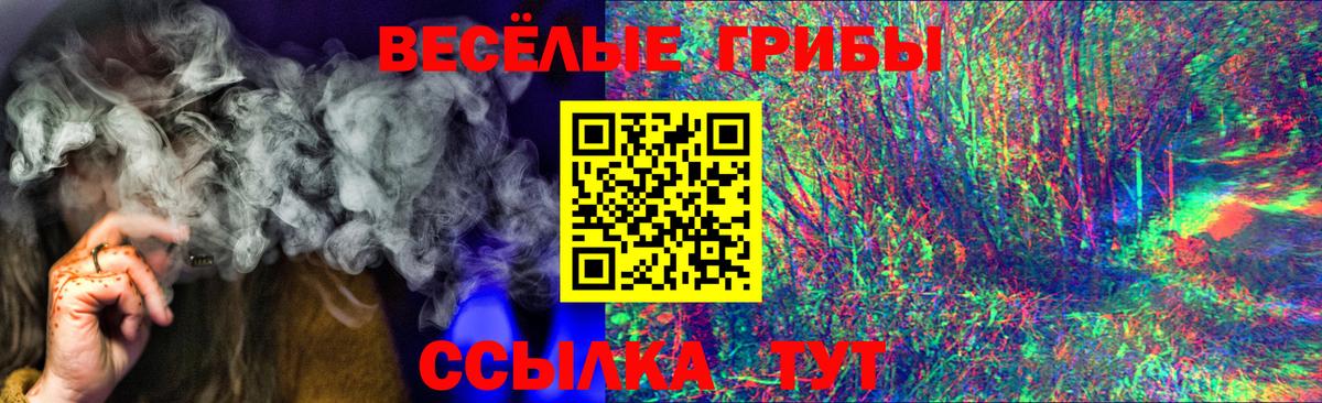 Жигулёвск  Галлюциногенные грибы Psilocybine cubensis  Вход с VPN 